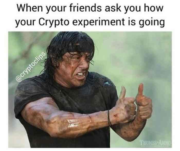 l17057whenyourfriendsaskyouhowyourcryptoexperimentisgoing.jpg