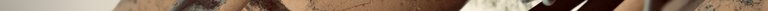 IMG_2423 2.jpeg