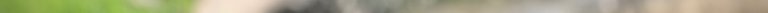 IMG_2111 4.jpeg