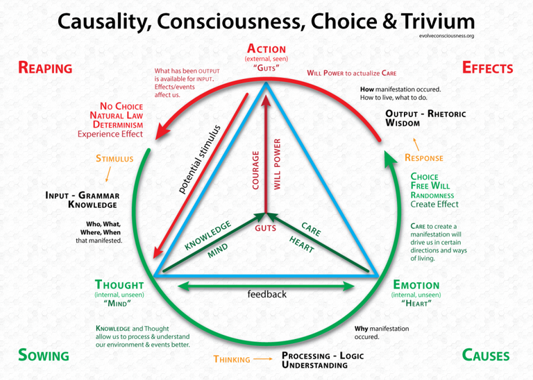 CausalityConsciousnessChoiceandTrivium1024x731.png