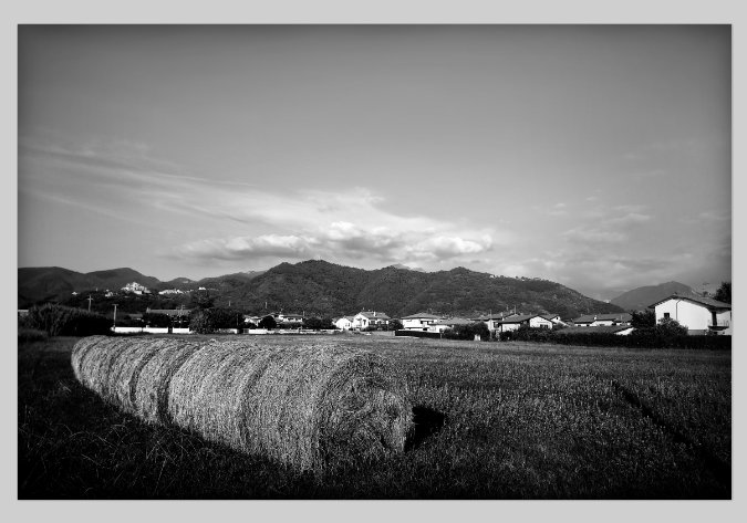 Rural_07Vignette.jpg