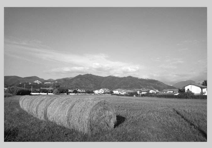 Rural_03Desaturation.jpg