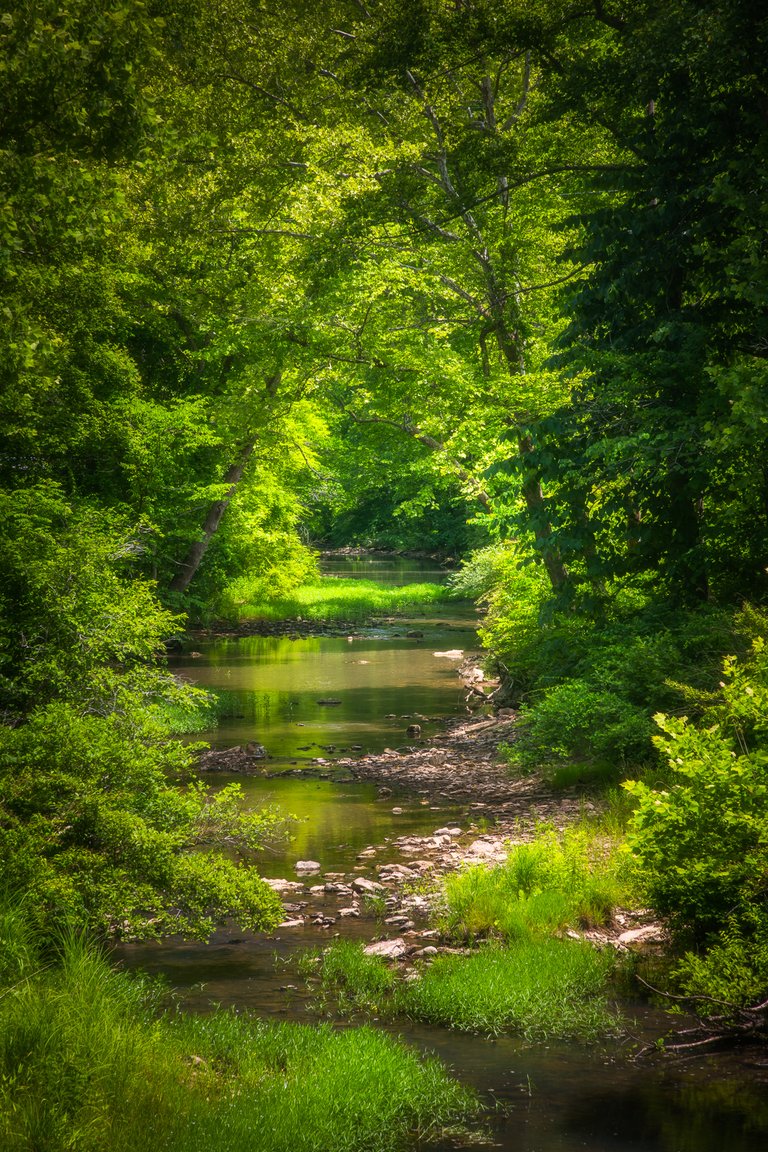 DSC_1360Edit.jpg