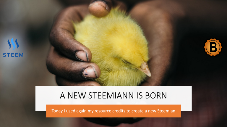 a new steemian is born on the steem blockchain 1.png