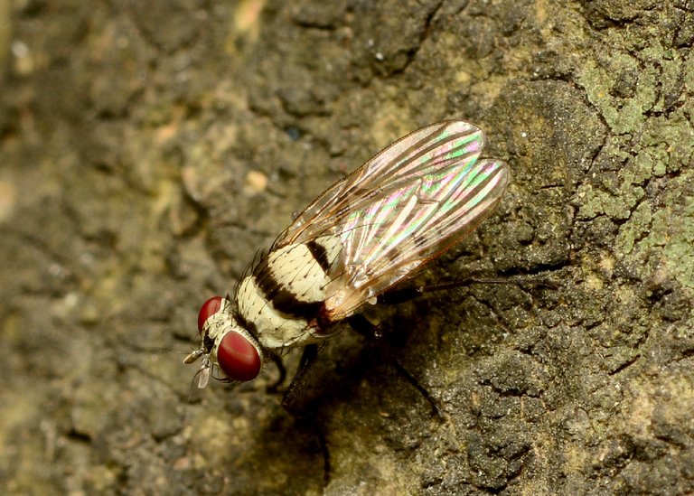DSC_7272.jpg