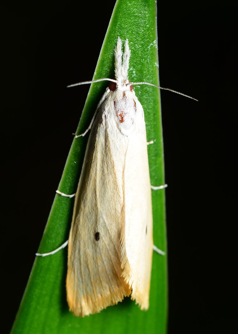 DSC_6526.jpg