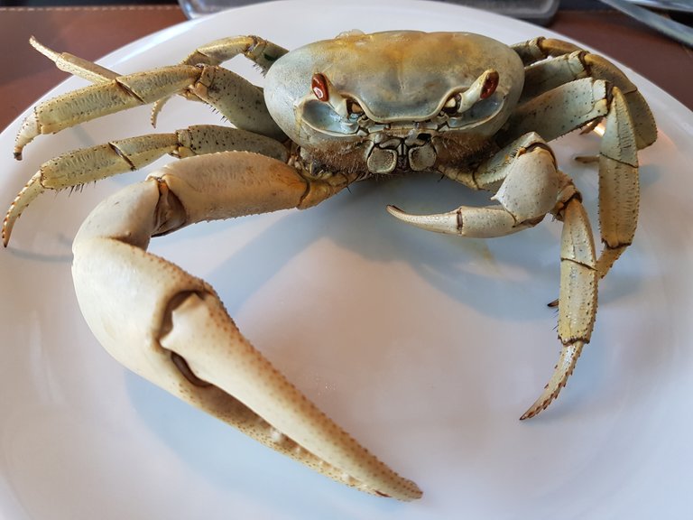 20191225_145713.jpg