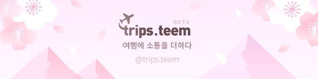 tripsteem logo.jpg