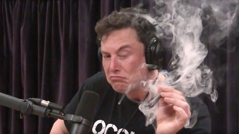 elon musk toke.jpg