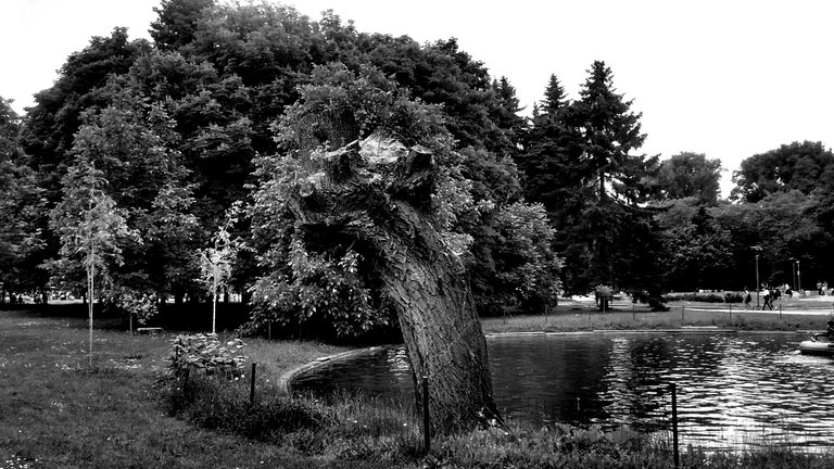 IMG_20190601_114642847_HDR  Copy.jpg