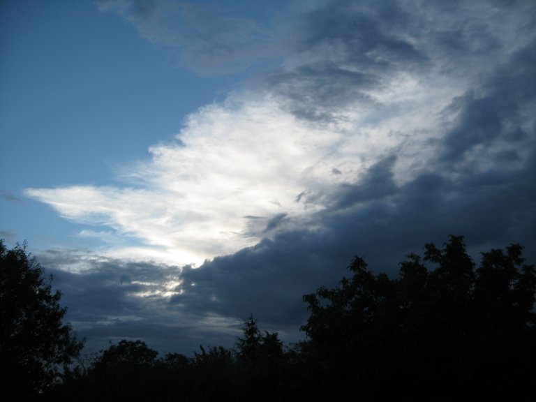 IMG_0301wh.JPG