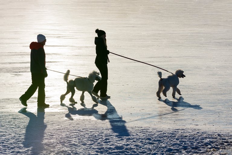 ice4.jpg
