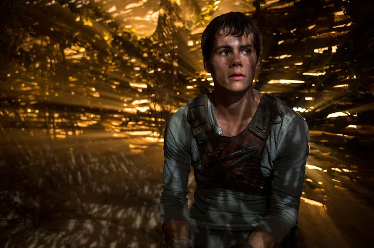 mazerunner.jpg