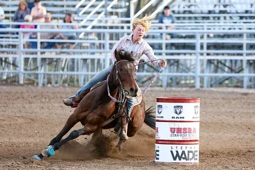 rodeo3578526__340.webp