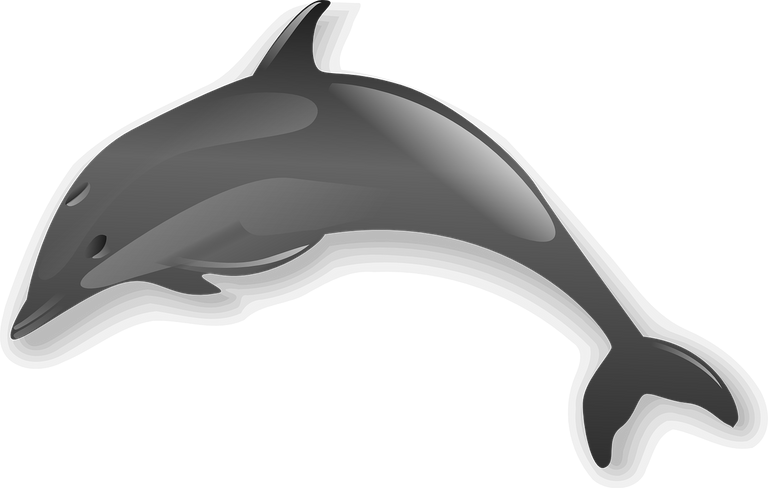 dolphin24673_1280.png