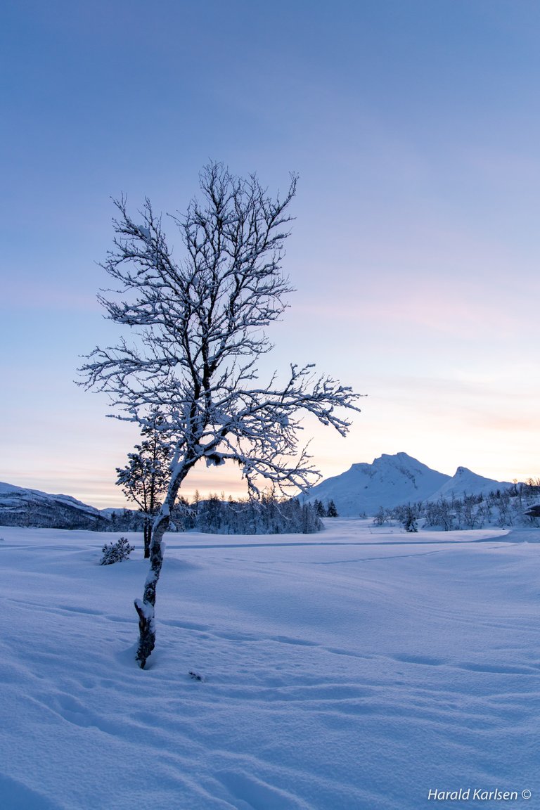 Ankenesfjellet2.jpg