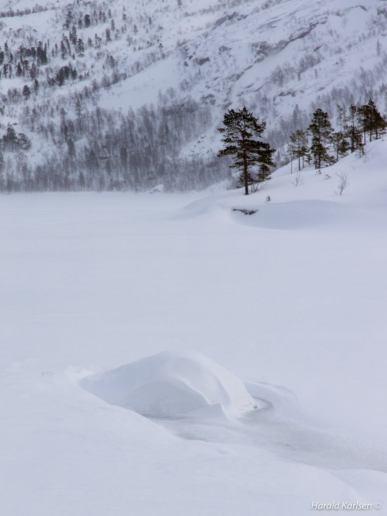 Lakselvannet2.jpg