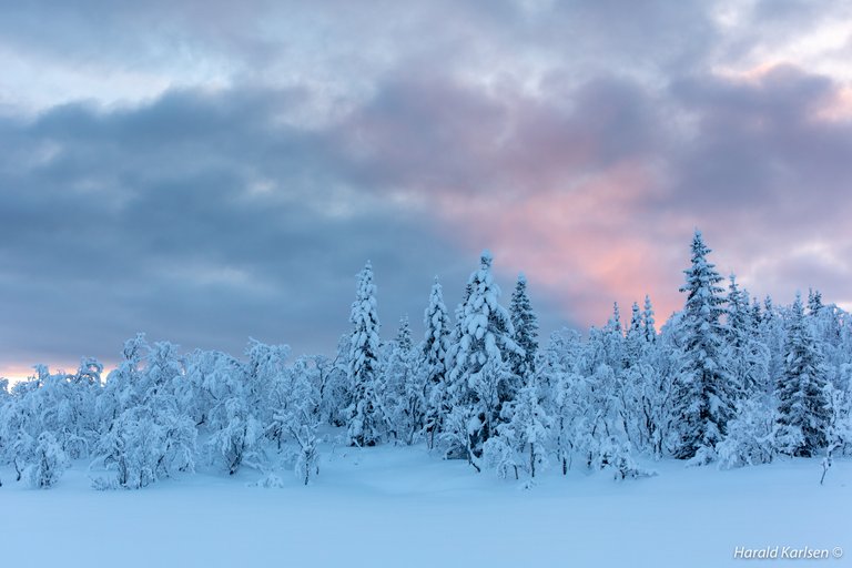 Veggfjellet 2.jpg