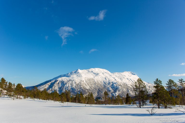 Ankenesfjellet8.jpg