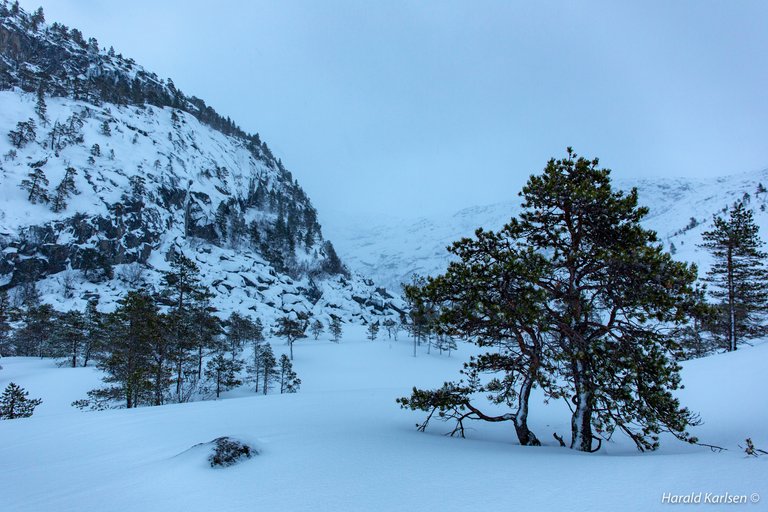 Lakselvvannet4.jpg