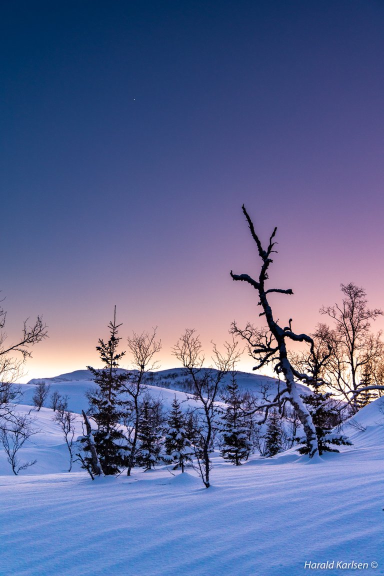 Vinterlandskap8.jpg