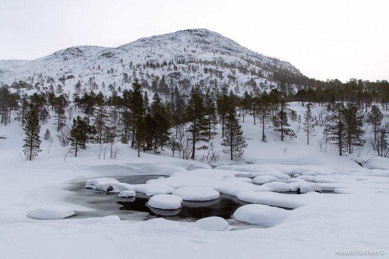 Lakselvannet3.jpg