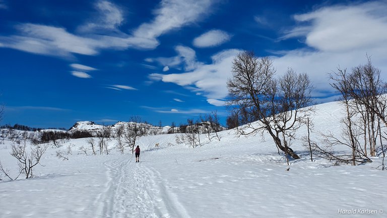 Nygårdsfjellet2.jpg