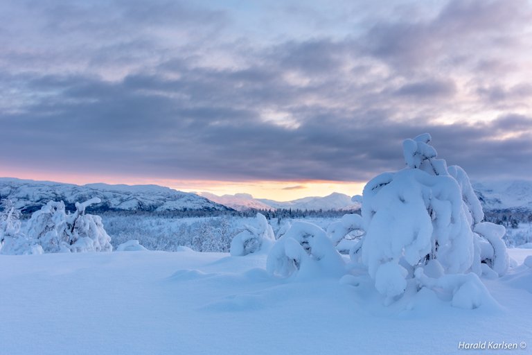 Veggfjellet 28.jpg