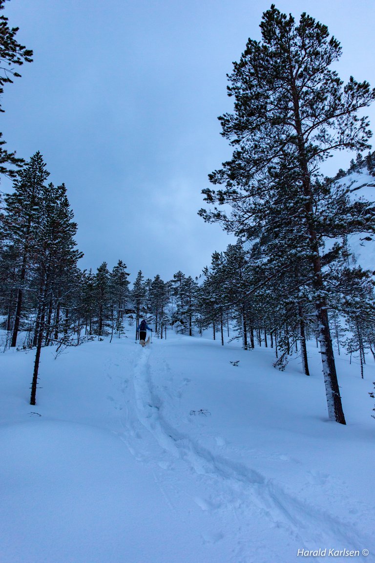 Lakselvvannet12.jpg