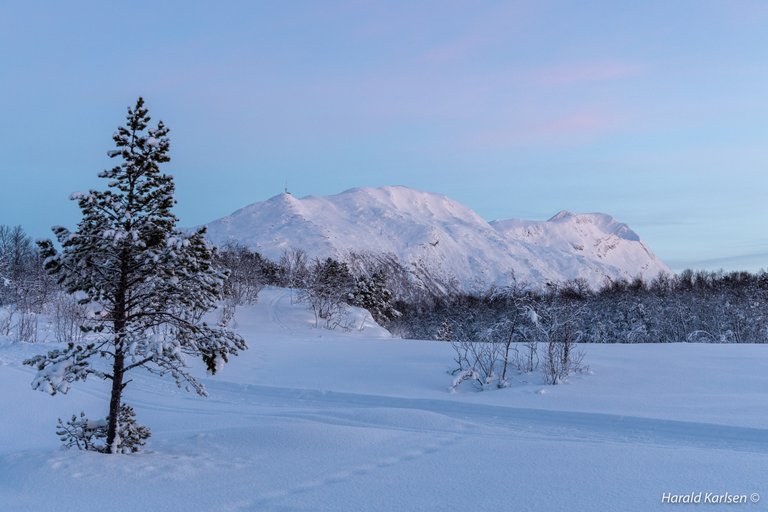 Ankenesfjellet3.jpg