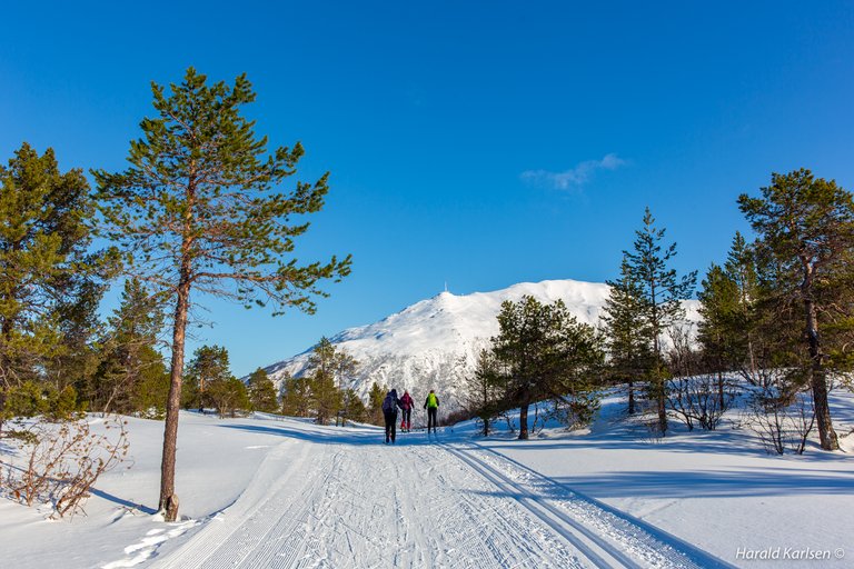 Ankenesfjellet.jpg