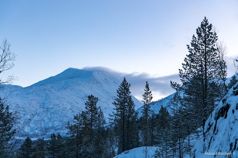 Sildvik10.jpg