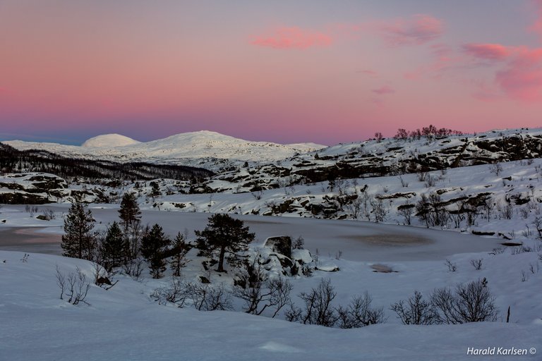 Frozen landscape.jpg