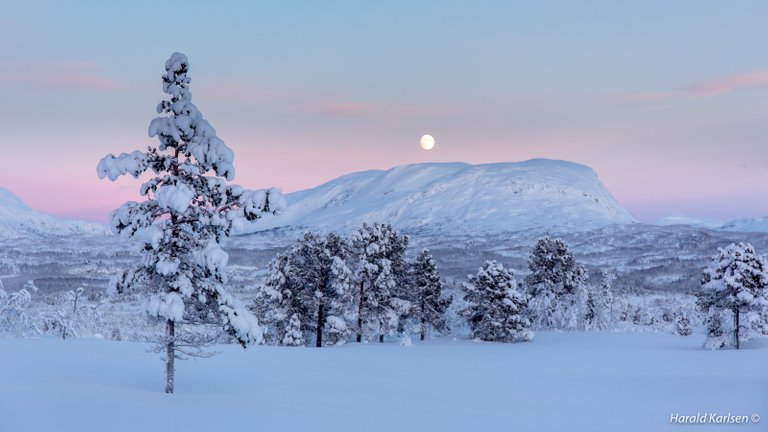 Veggfjellet2.jpg