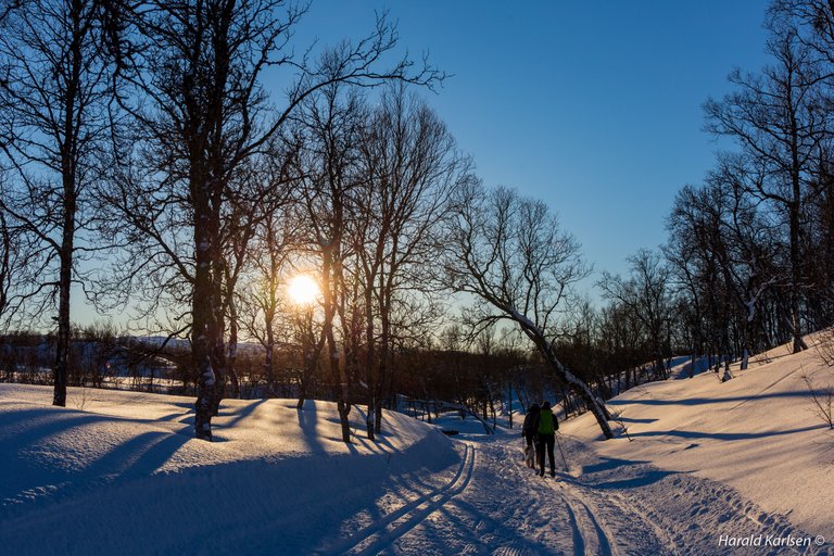 Winterday.jpg
