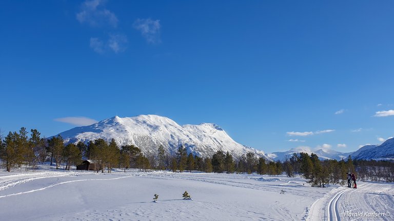 Ankenesfjellet10.jpg