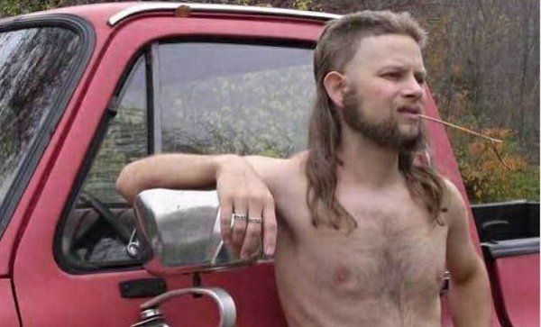 almost_politically_correct_redneck.jpg