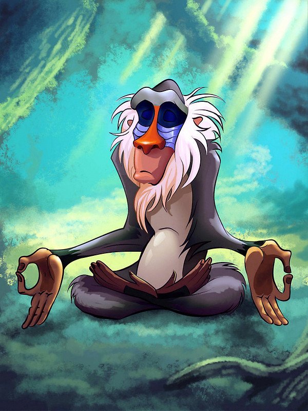 rafiki_meditating_lion_king.jpg