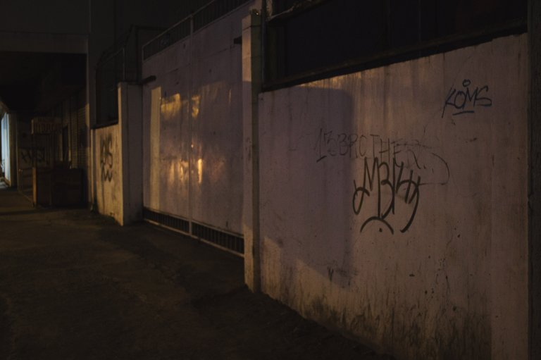 DSC_0030.JPG