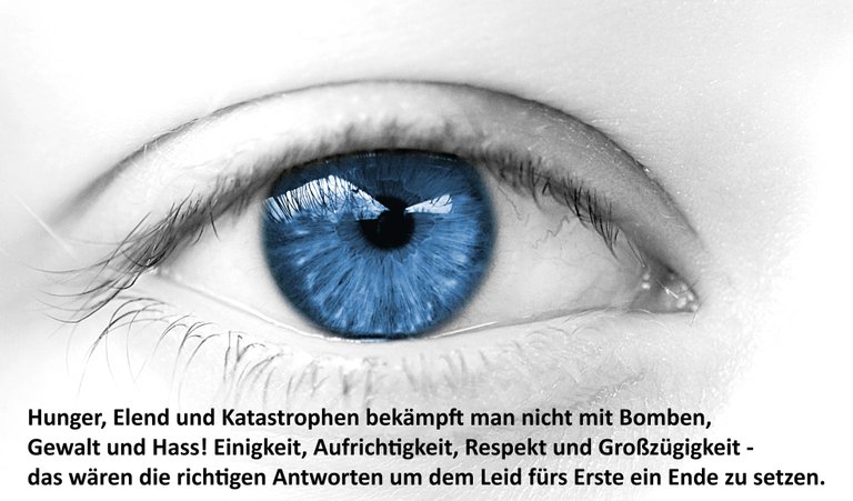 auge.jpg