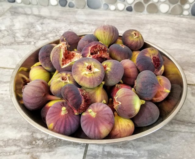 figs.jpeg