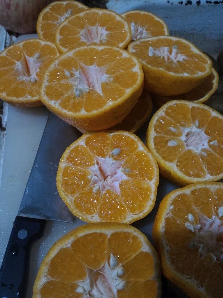 fresh oranges.jpg
