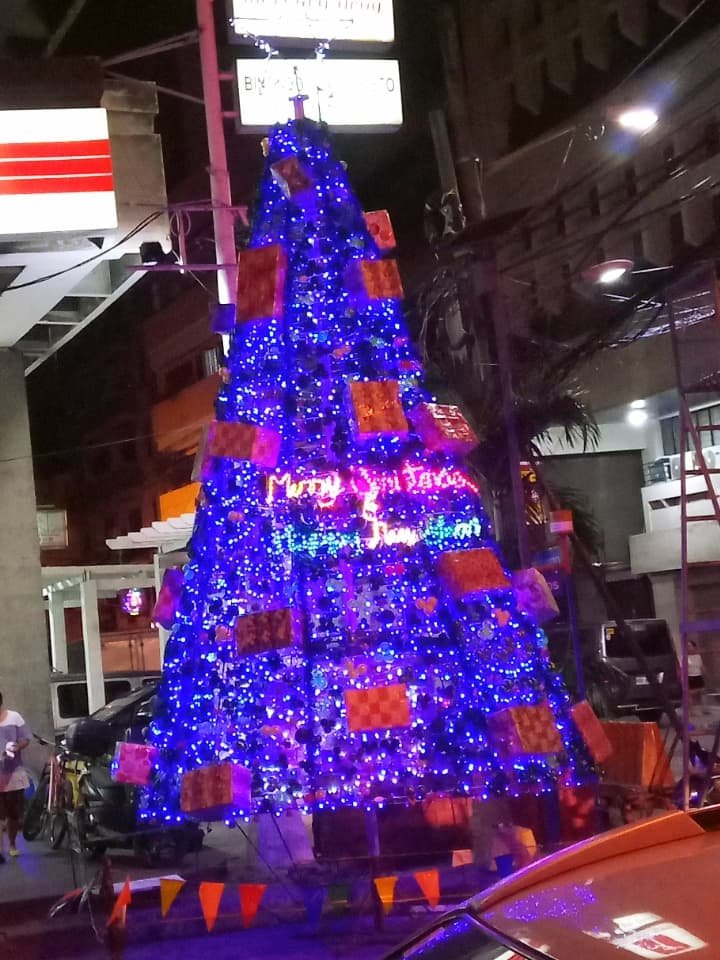 Christmas tree.jpg