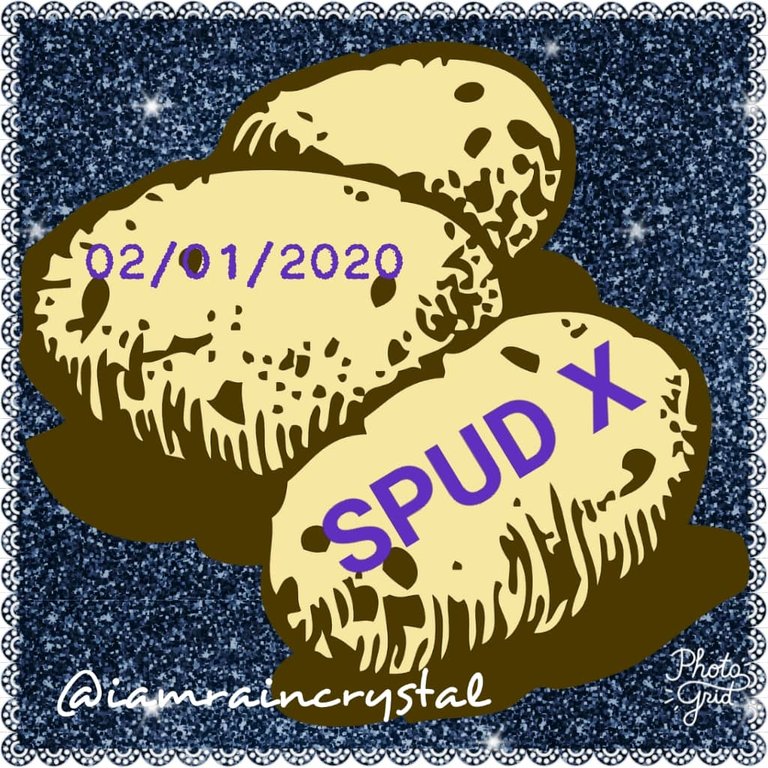 SPUD X.jpg