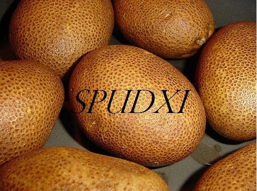 spudxi.jpg