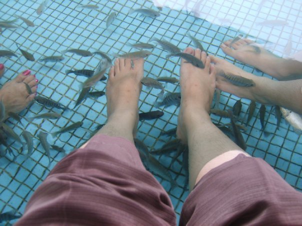 Fish Spa 3.jpg