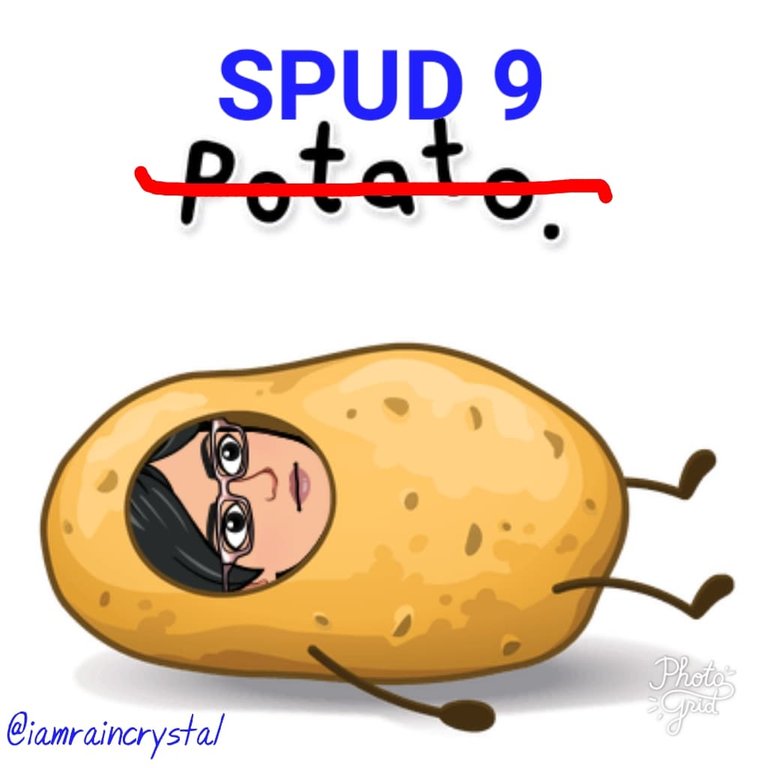 SPUD 9.jpg