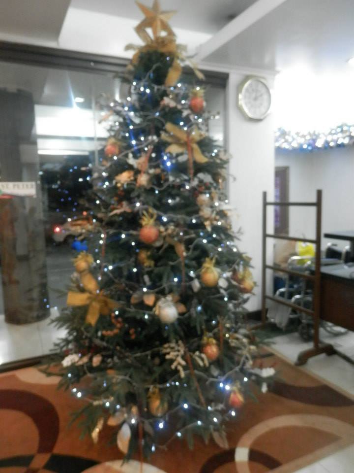 funeral house christmas tree.jpg