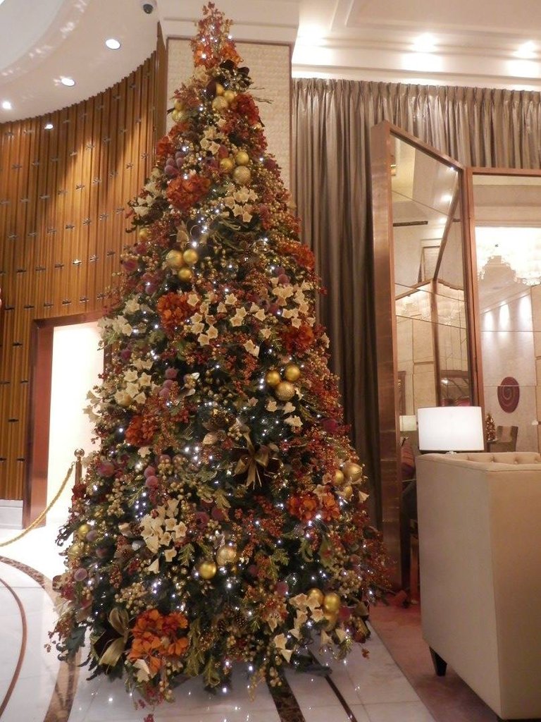 Christmas tree hotel.jpg