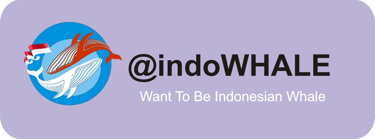 banner indowhale.JPG